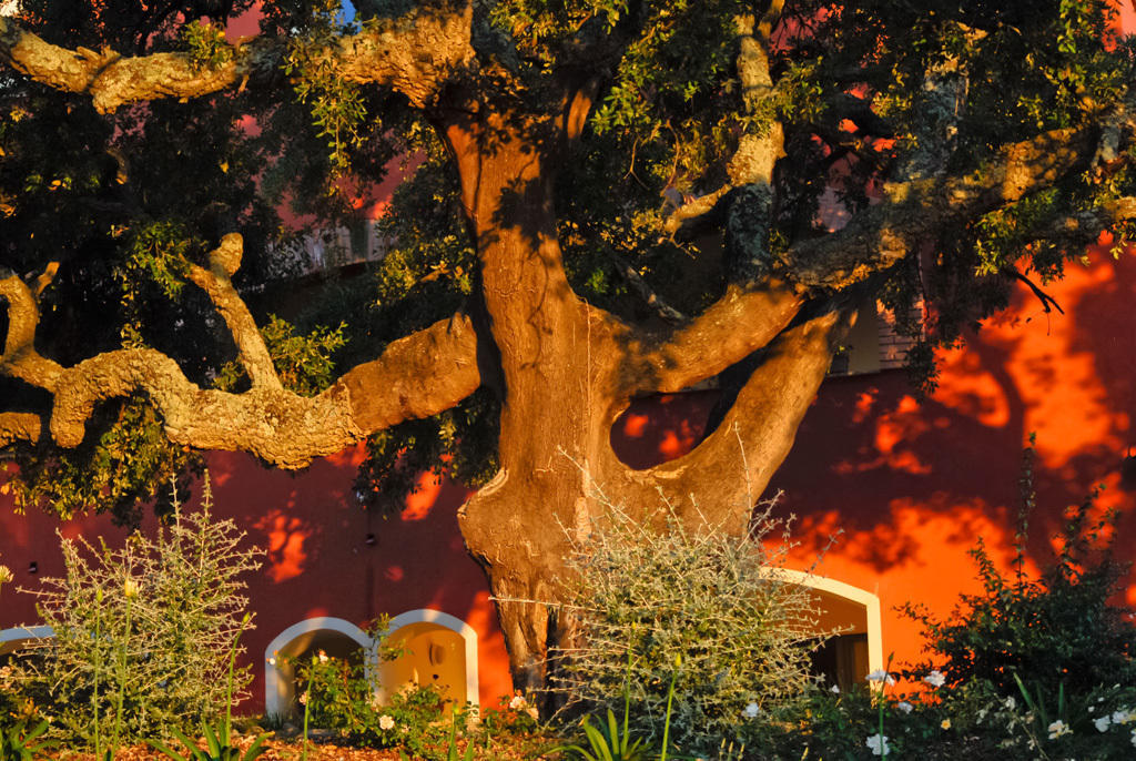 Giardino Dei Sugheri スカルリーノ エクステリア 写真